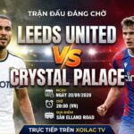 Nhận định bóng đá Leeds United vs Crystal Palace vòng 5 Ngoại hạng Anh, xem trực tiếp tốc độ cao trên Xoilac TV.